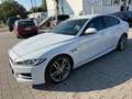 Jaguar XE R-Sport/Navi/Xenon/Kamera/Leder/TOP Weiß - thumbnail 5
