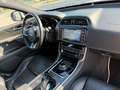 Jaguar XE R-Sport/Navi/Xenon/Kamera/Leder/TOP Weiß - thumbnail 17
