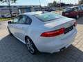 Jaguar XE R-Sport/Navi/Xenon/Kamera/Leder/TOP Weiß - thumbnail 10
