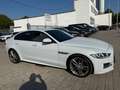 Jaguar XE R-Sport/Navi/Xenon/Kamera/Leder/TOP Weiß - thumbnail 4
