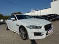 Jaguar XE R-Sport/Navi/Xenon/Kamera/Leder/TOP Weiß - thumbnail 3