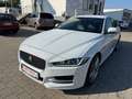 Jaguar XE R-Sport/Navi/Xenon/Kamera/Leder/TOP Weiß - thumbnail 1