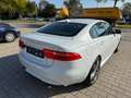 Jaguar XE R-Sport/Navi/Xenon/Kamera/Leder/TOP Weiß - thumbnail 8