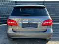 Mercedes-Benz B 220 4M*SPORTS-TOURER*7G*CAM*DIST*BI-XENON*AHK* Grau - thumbnail 6
