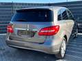Mercedes-Benz B 220 4M*SPORTS-TOURER*7G*CAM*DIST*BI-XENON*AHK* Grau - thumbnail 5