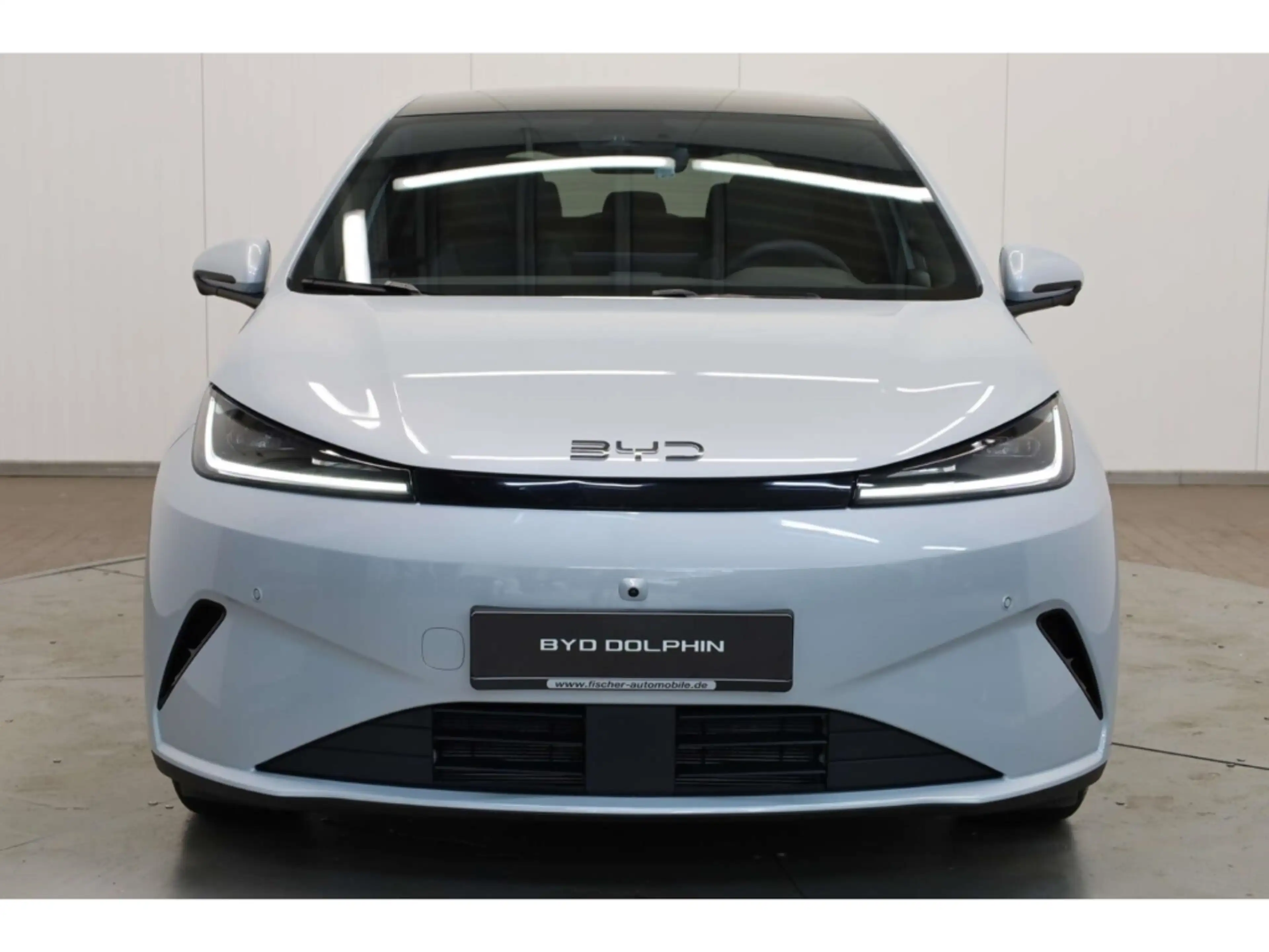 BYD Dolphin G DM-i Comfort — photo 3