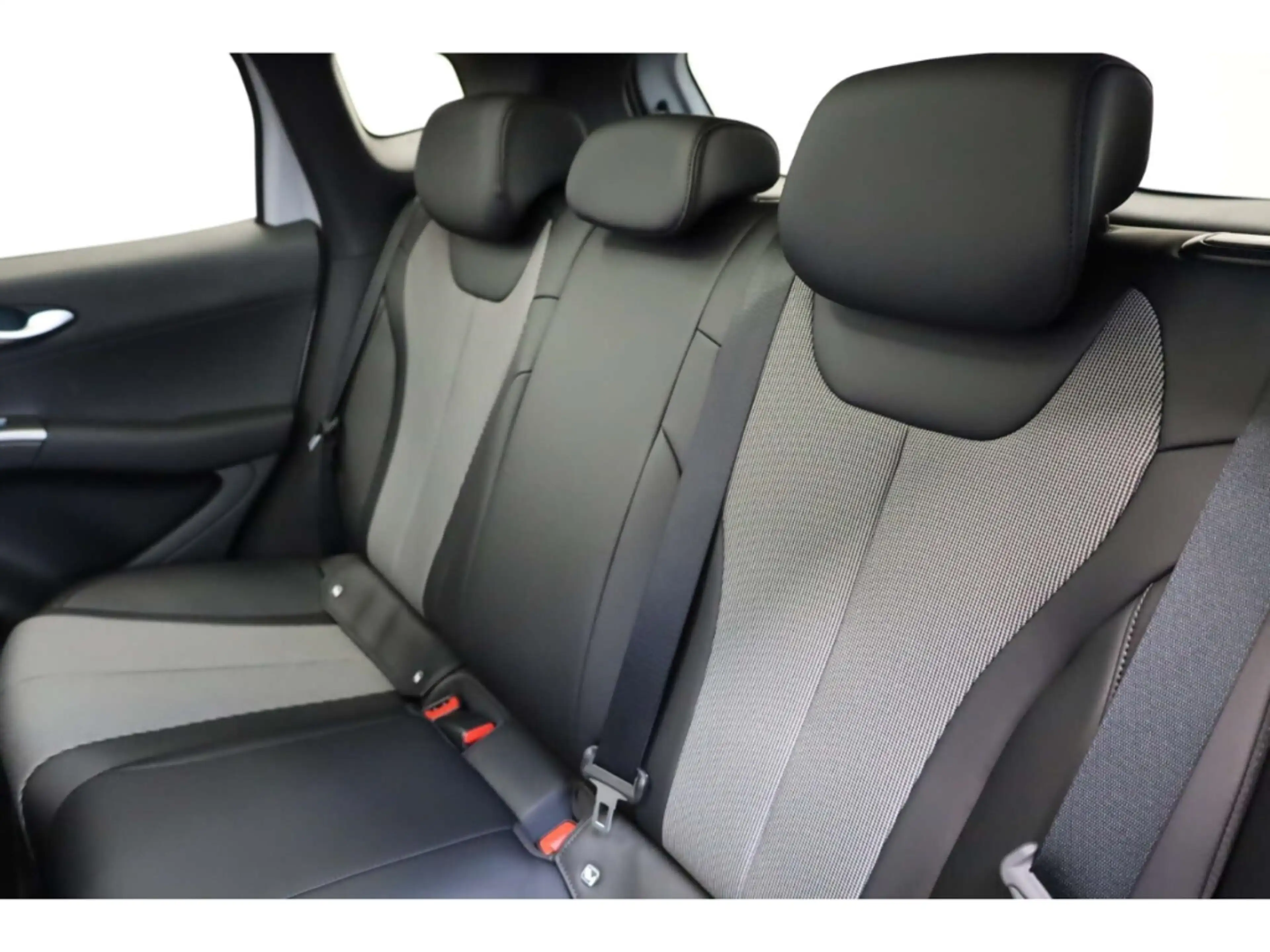 BYD Dolphin G DM-i Comfort — photo 12