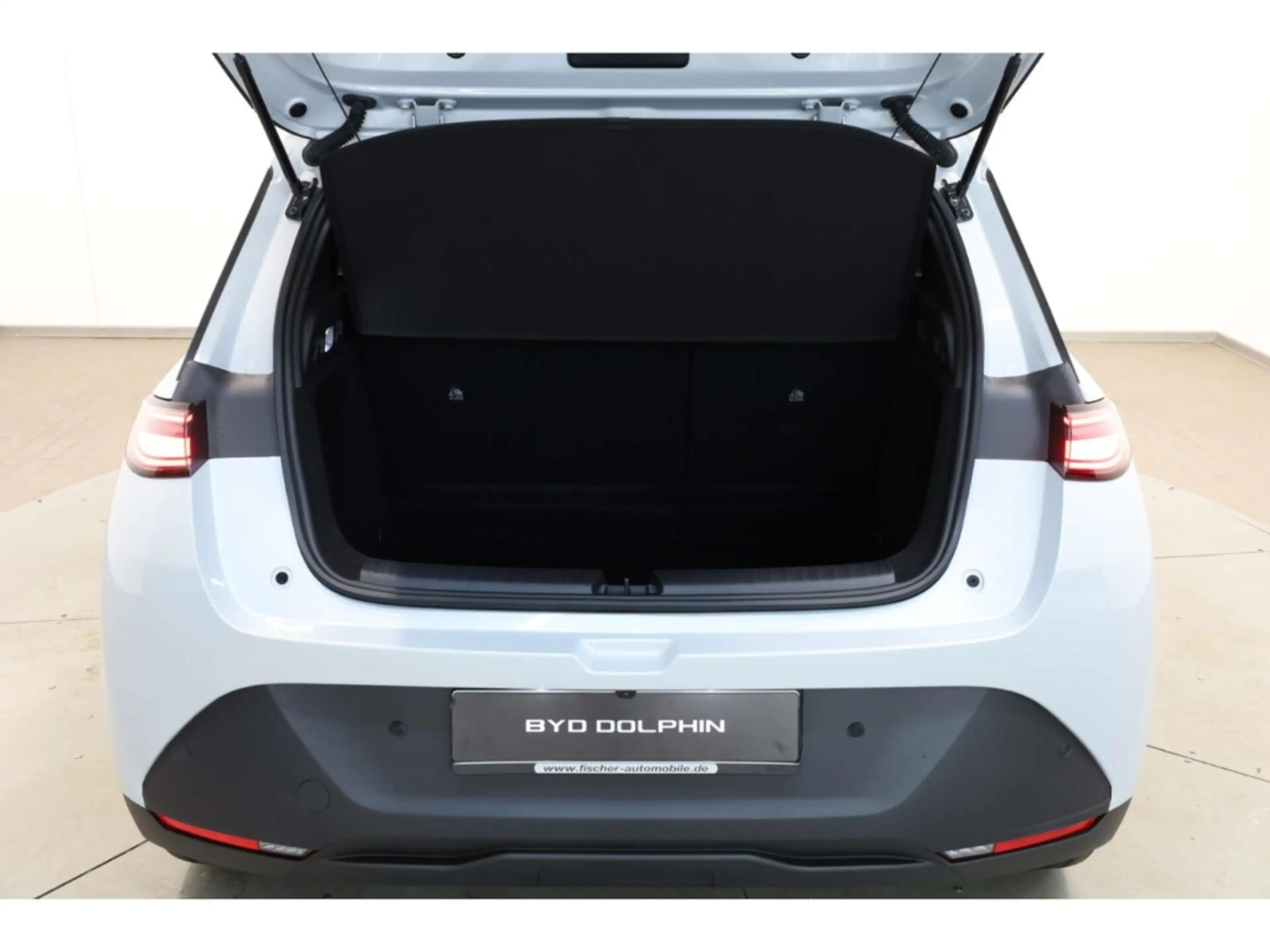 BYD Dolphin G DM-i Comfort — photo 13