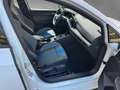 Volkswagen Golf VIII Lim. R 4M 2.0 TSI R-Performance/Pano Wit - thumbnail 15