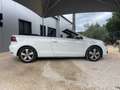 Volkswagen Golf CABRIOLET 1.6 TDI 105ch FAP Blanc - thumbnail 8