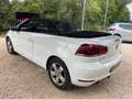 Volkswagen Golf CABRIOLET 1.6 TDI 105ch FAP Blanc - thumbnail 5
