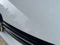 Volkswagen Golf CABRIOLET 1.6 TDI 105ch FAP Blanc - thumbnail 37
