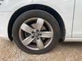Volkswagen Golf CABRIOLET 1.6 TDI 105ch FAP Blanc - thumbnail 30