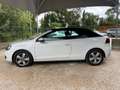 Volkswagen Golf CABRIOLET 1.6 TDI 105ch FAP Blanc - thumbnail 9