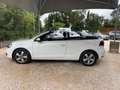 Volkswagen Golf CABRIOLET 1.6 TDI 105ch FAP Blanc - thumbnail 4