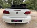 Volkswagen Golf CABRIOLET 1.6 TDI 105ch FAP Blanc - thumbnail 6