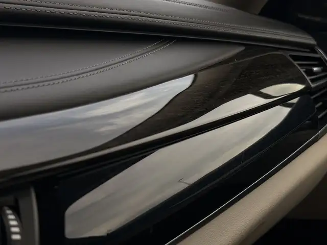 BMW X6 view 29