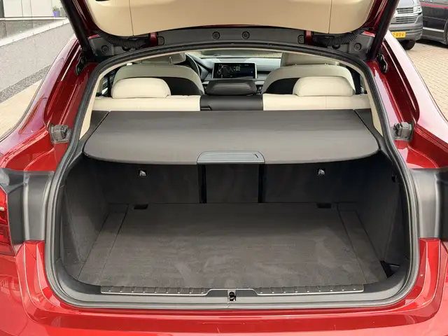 BMW X6 view 19