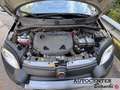 Fiat Panda Panda 0.9 t.air t. Cross 4x4 s&s 85cv Grijs - thumbnail 24