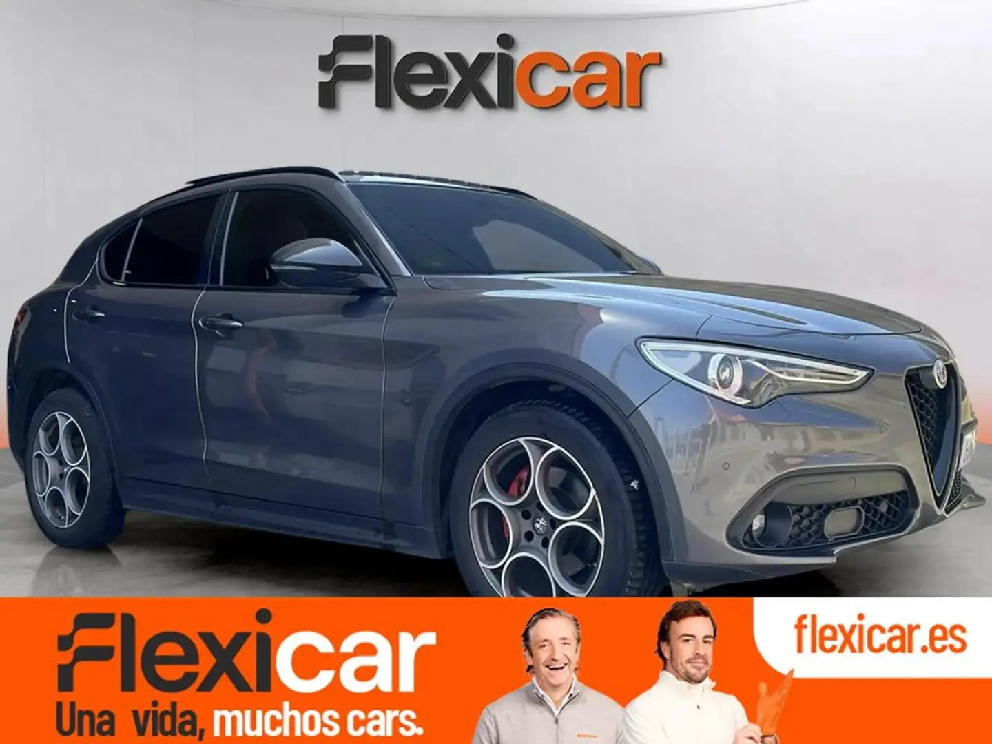 Alfa Romeo Stelvio 2.2 Diésel 118kW (160CV) RWD Gris - 1