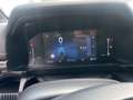 Ford Ranger Ranger Doppelkabine Wildtrak 4x4 2,0 EcoBlue Aut. Rouge - thumbnail 15