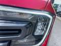 Ford Ranger Ranger Doppelkabine Wildtrak 4x4 2,0 EcoBlue Aut. Rouge - thumbnail 7