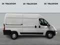 Citroen Jumper III Blanc - thumbnail 7