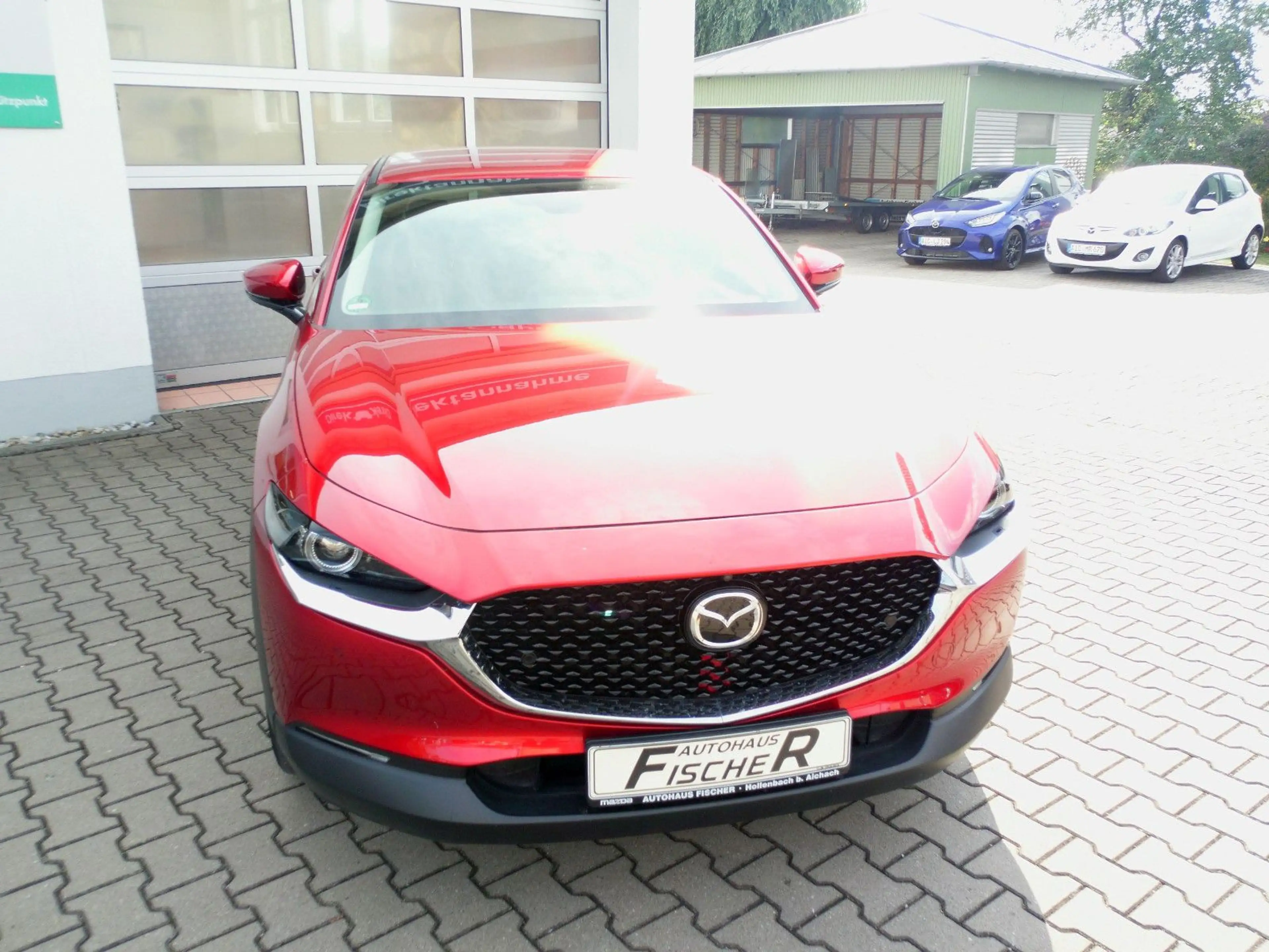 Mazda CX-30 SKYACTIV-X 186 AT Selection BOSE/360°/AHK — photo 5