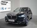 BMW X5 xDrive30d Grau - thumbnail 1