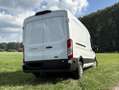 Ford Transit Transit 330 L3H2 Lkw VA Autm. Trend Weiß - thumbnail 4