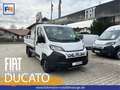 Fiat Ducato PRITSCHE 35 L2 140 MT Blanc - thumbnail 1
