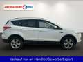 Ford Kuga 1.5 EB Sync Edition Blanc - thumbnail 4