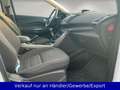 Ford Kuga 1.5 EB Sync Edition Blanc - thumbnail 13