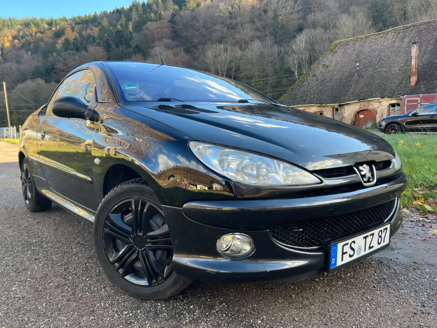 Peugeot 206 Cabriolet CC TÜV 10/26 WEBASTO STANDHEIZUNG Schwarz - 2