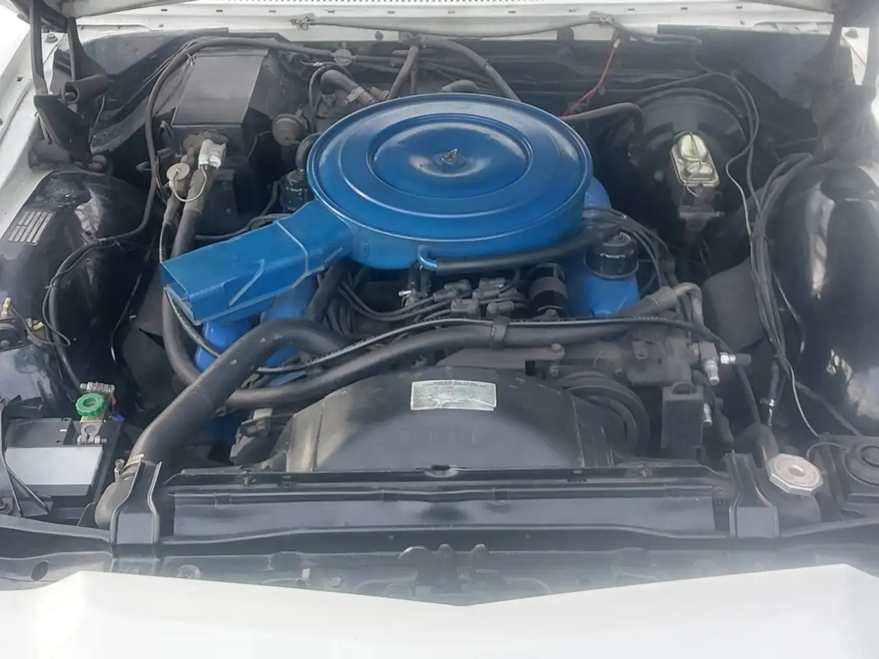 Mercury Monterey, foto 3