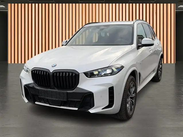 BMW X5 X5 view 2