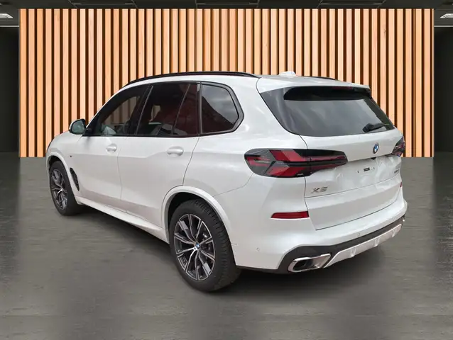 BMW X5 X5 view 10