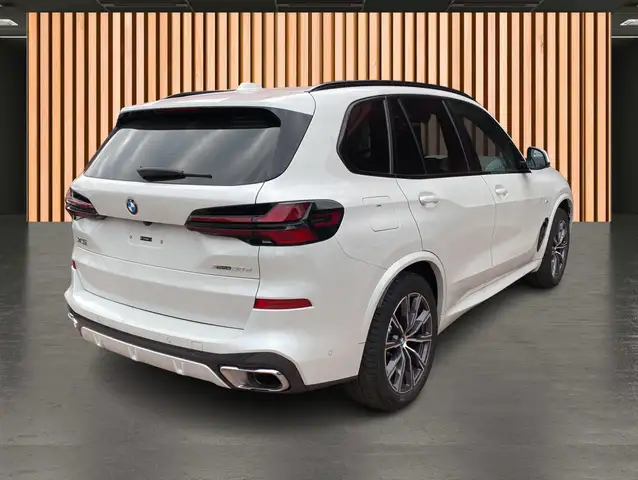 BMW X5 X5 view 8