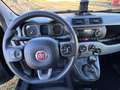 Fiat Panda Panda 1.0 hybrid UConnect 5 porte Neop. Nero - thumbnail 12