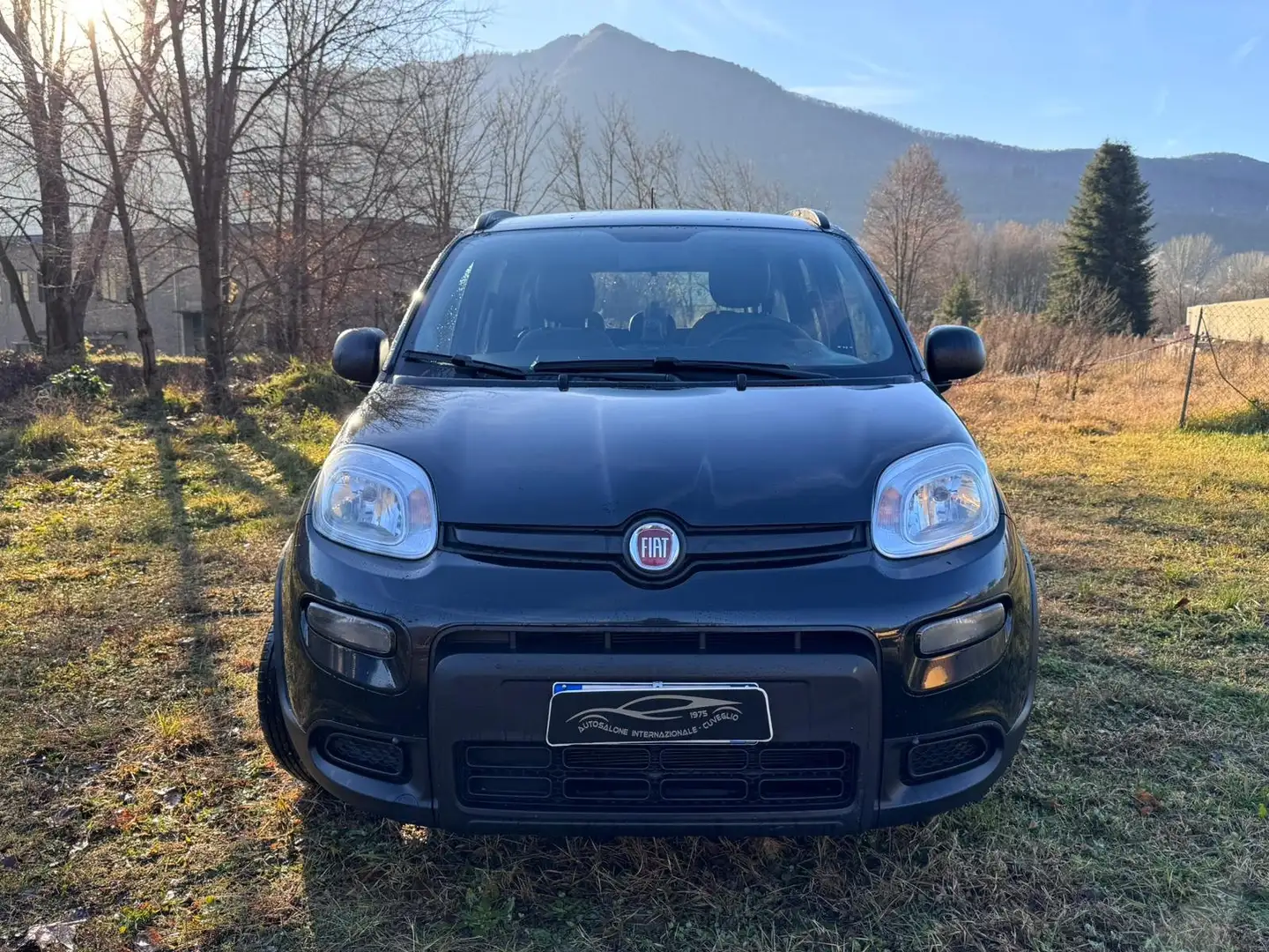 Fiat Panda Panda 1.0 hybrid UConnect 5 porte Neop. Nero - 2