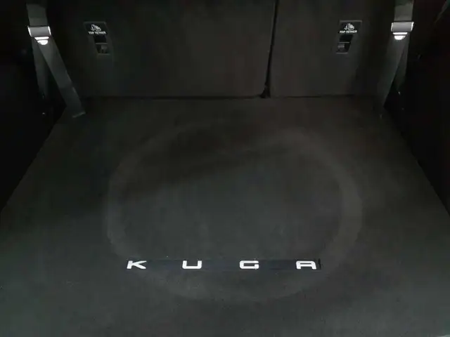 Ford Kuga view 15