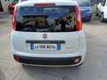 Fiat Panda Panda 1.0 firefly hybrid VAN Weiß - thumbnail 4