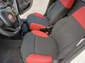 Fiat Panda Panda 1.0 firefly hybrid VAN Weiß - thumbnail 18