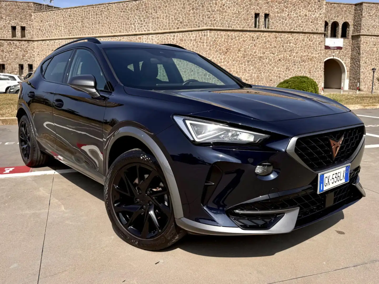 CUPRA Formentor 1.5 TSI VIRTUAL+18''BLACK+PELLE TEX+PDC+FULL LED Grigio - 2
