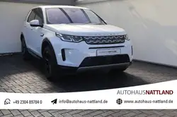 Land Rover Discovery Sport AWD Winter Paket ACC AHK Standh.