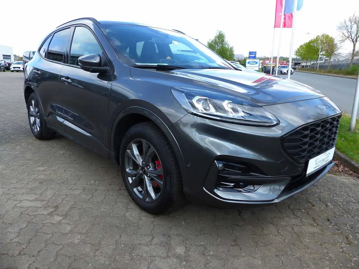 Ford Kuga 2.0 EcoBlue 4x4 Aut. ST-LINE X iACC,LED,GJR Grau - 2
