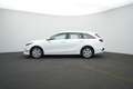 Kia Ceed SW / cee'd SW CEED_SW 1.6D 136 48V DCT7 VIS AHK KOMF Blanc - thumbnail 11