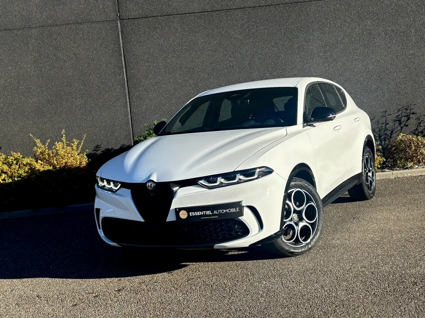 Alfa Romeo Tonale Tonale 1.5 MHEV Sprint / LED / NAVIGATION / JA 18 Blanc - 1