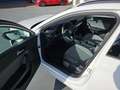 SEAT Leon Style LED SHZ AHK DAB Weiß - thumbnail 6