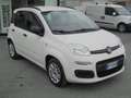 Fiat Panda 1.3 mjt 16v Easy 75cv Blanc - thumbnail 3